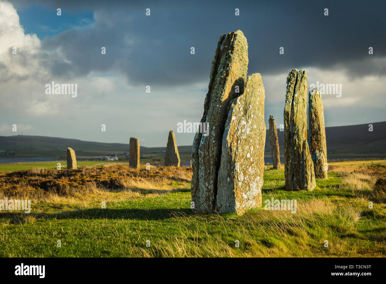 Part of the Ring of Brodgar neolithic stone circle, Mainland, Orkney Stock Photo