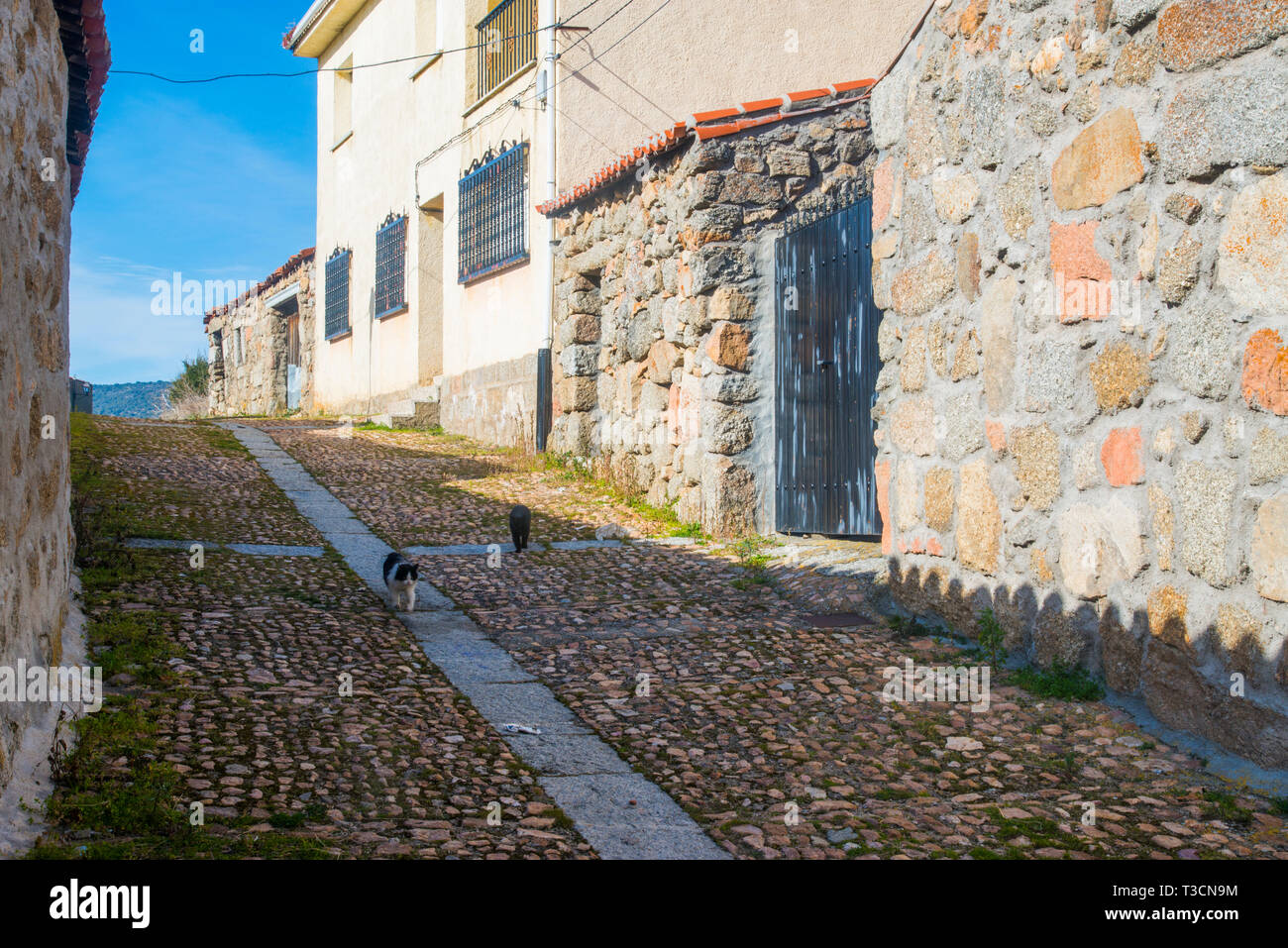 Street and cats. Bonilla de la Sierra, Avila province, Castilla Leon, Spain. Stock Photo