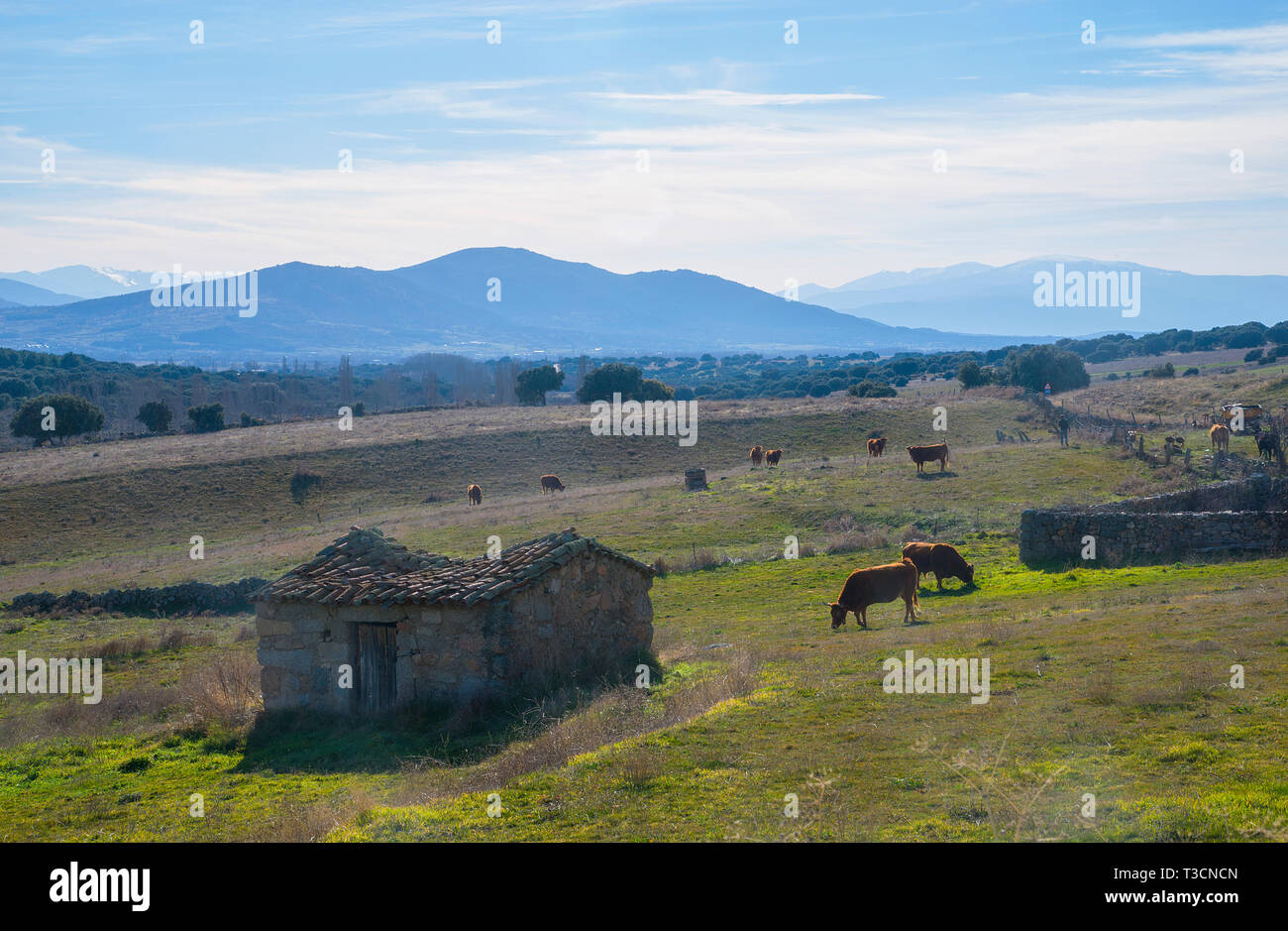 Landscape of Sierra de Gredos. Bonilla de la Sierra, Avila province, Castilla Leon, Spain. Stock Photo