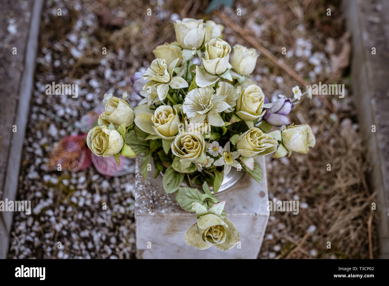 Plastic flowers on a grave Stock Photo Alamy