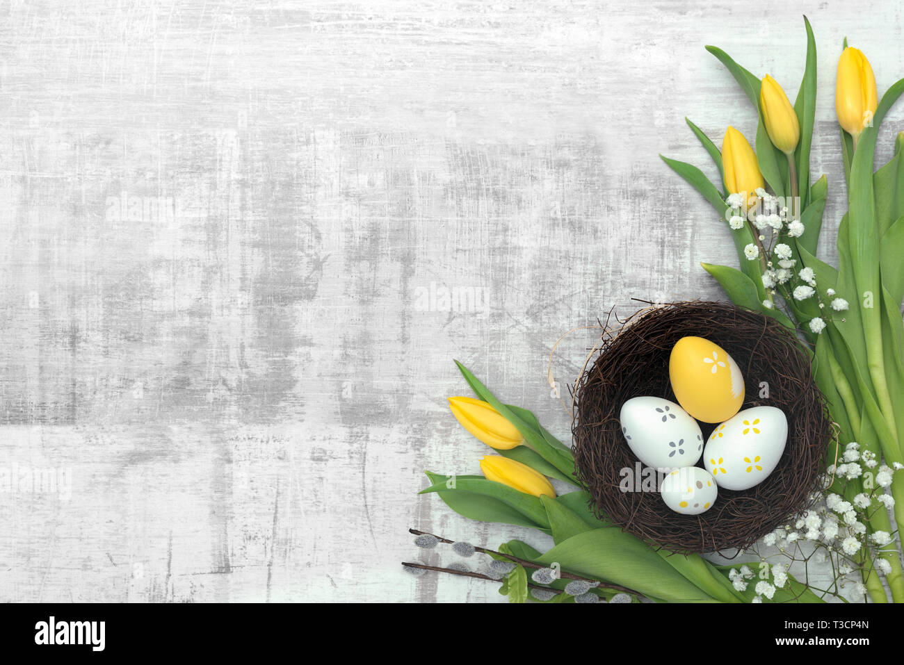 Easter eggs and spring flowers background. Top view with copy space ...