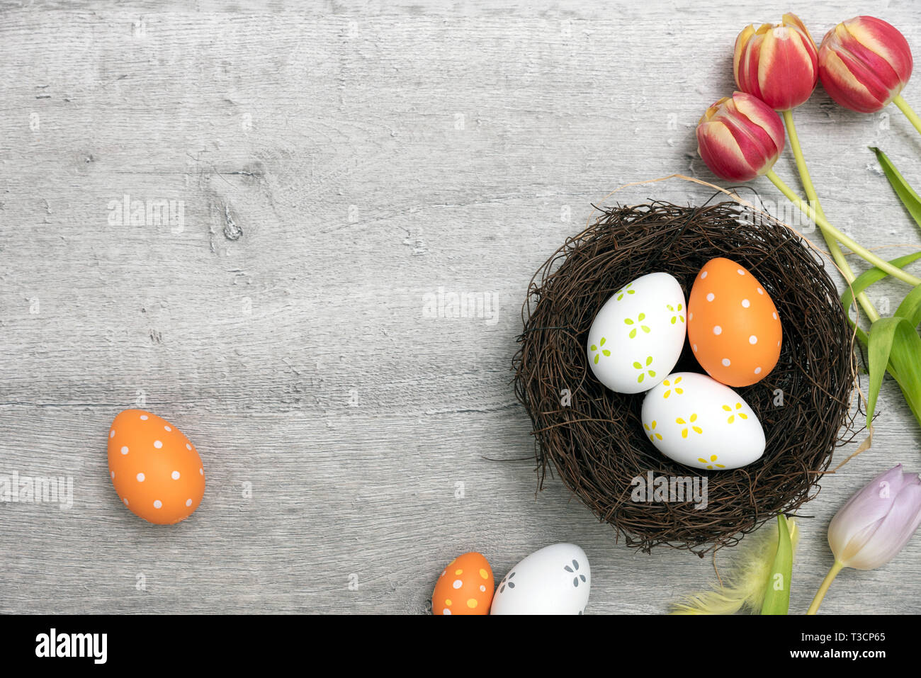 Easter eggs and spring flowers background. Top view with copy space ...