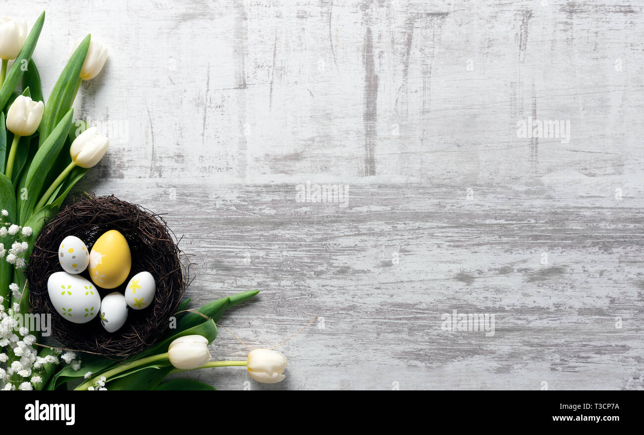 Easter eggs and spring flowers background. Top view with copy space ...