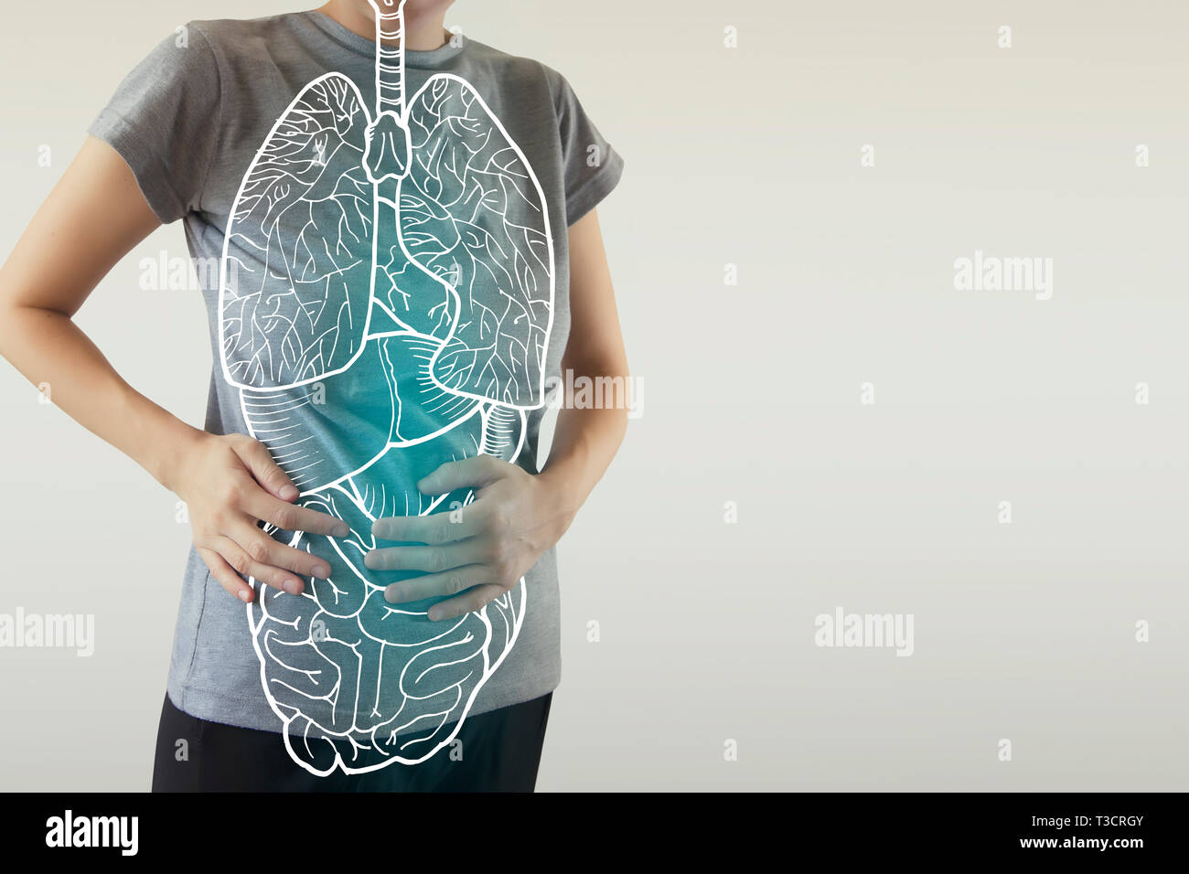 highlighted blue internal organs of healthy human organsim / protection from illnesses Stock Photo