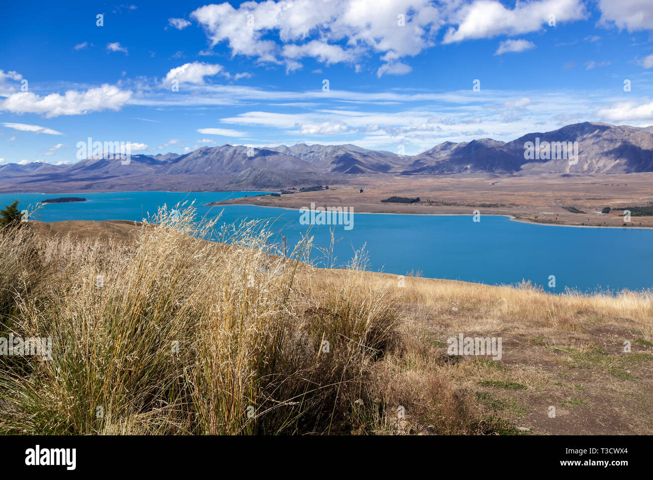 Scenic view of the colourful Lake Tekapo Stock Photo - Alamy