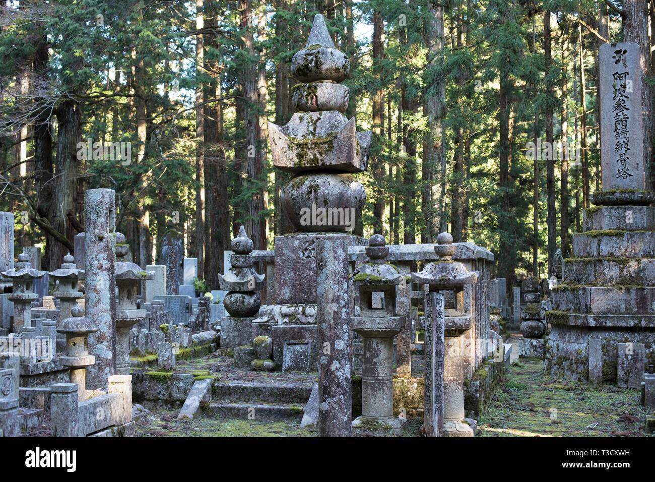 iOld stone grave markers in Okunoin cemetery n Koyasan, Japan. Stock Photo