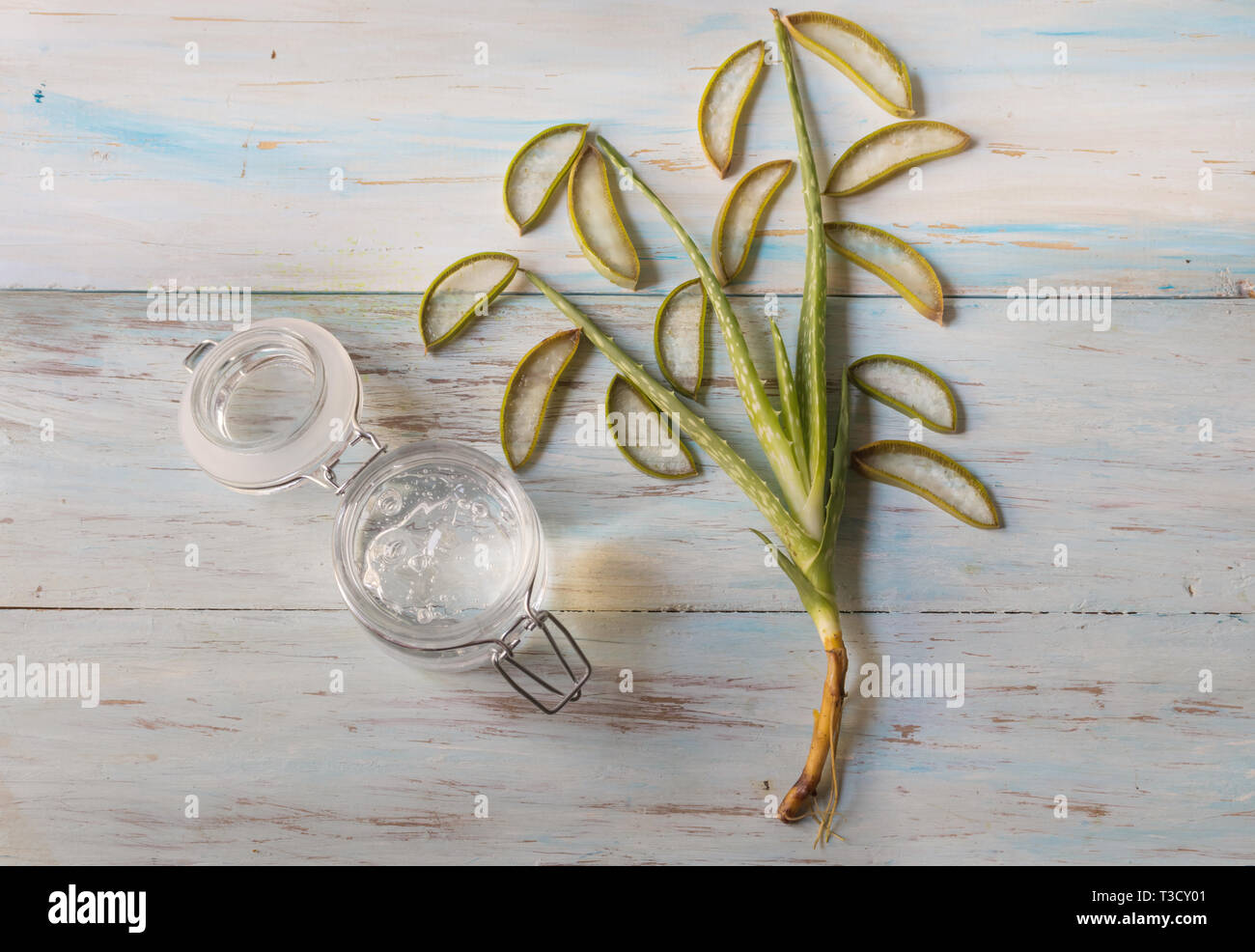 Natural aloe vera gel in glass jar with aloe vera plant, top view Stock Photo