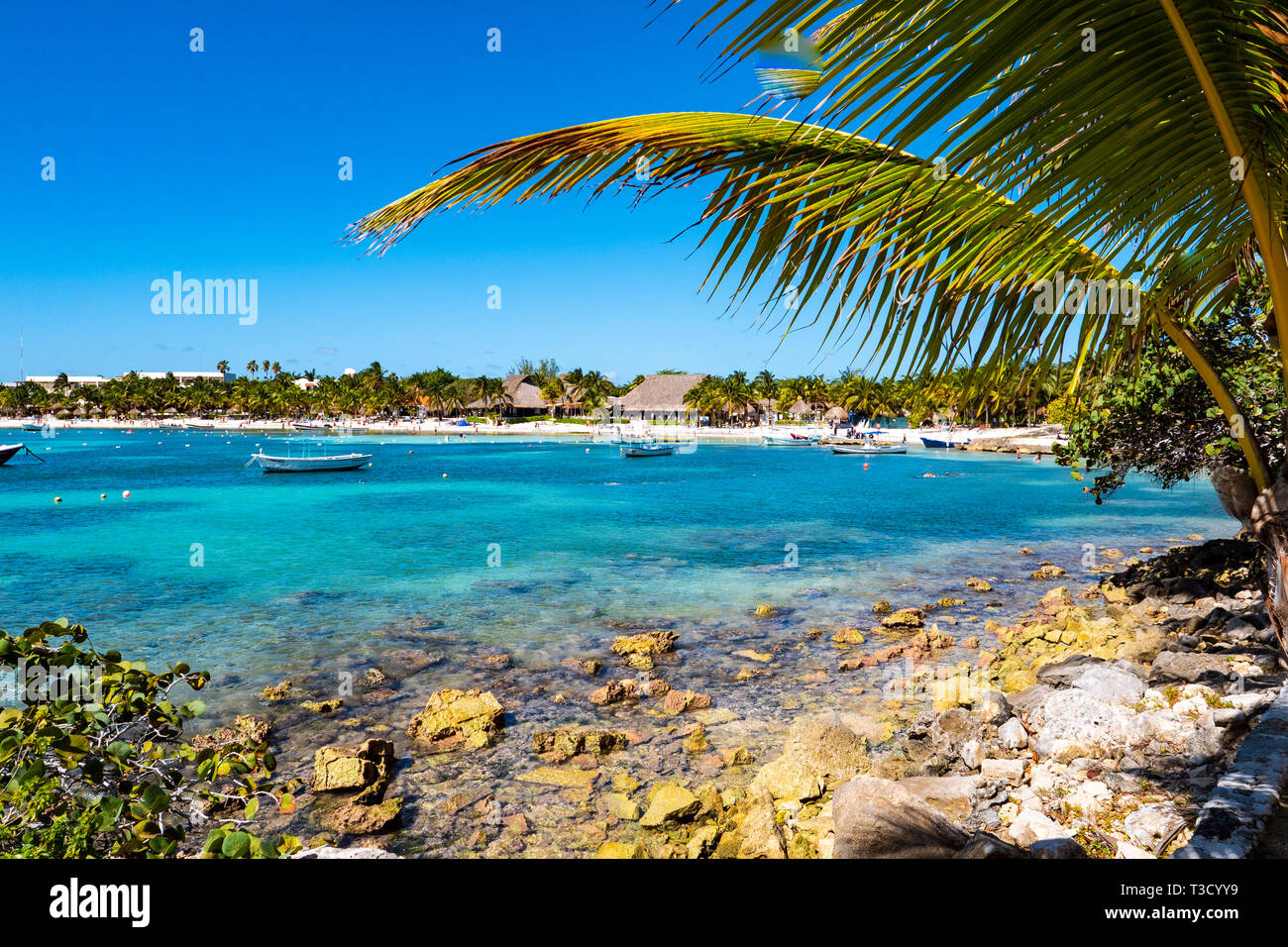 Akumal beach in Riviera Maya of Mayan Mexico Stock Photo - Alamy