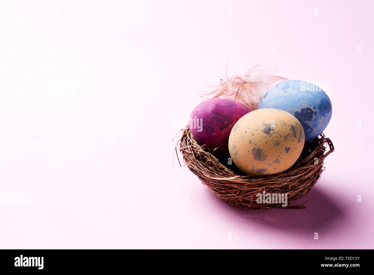 Colorful easter egg in the nest on pink background with copy space ...