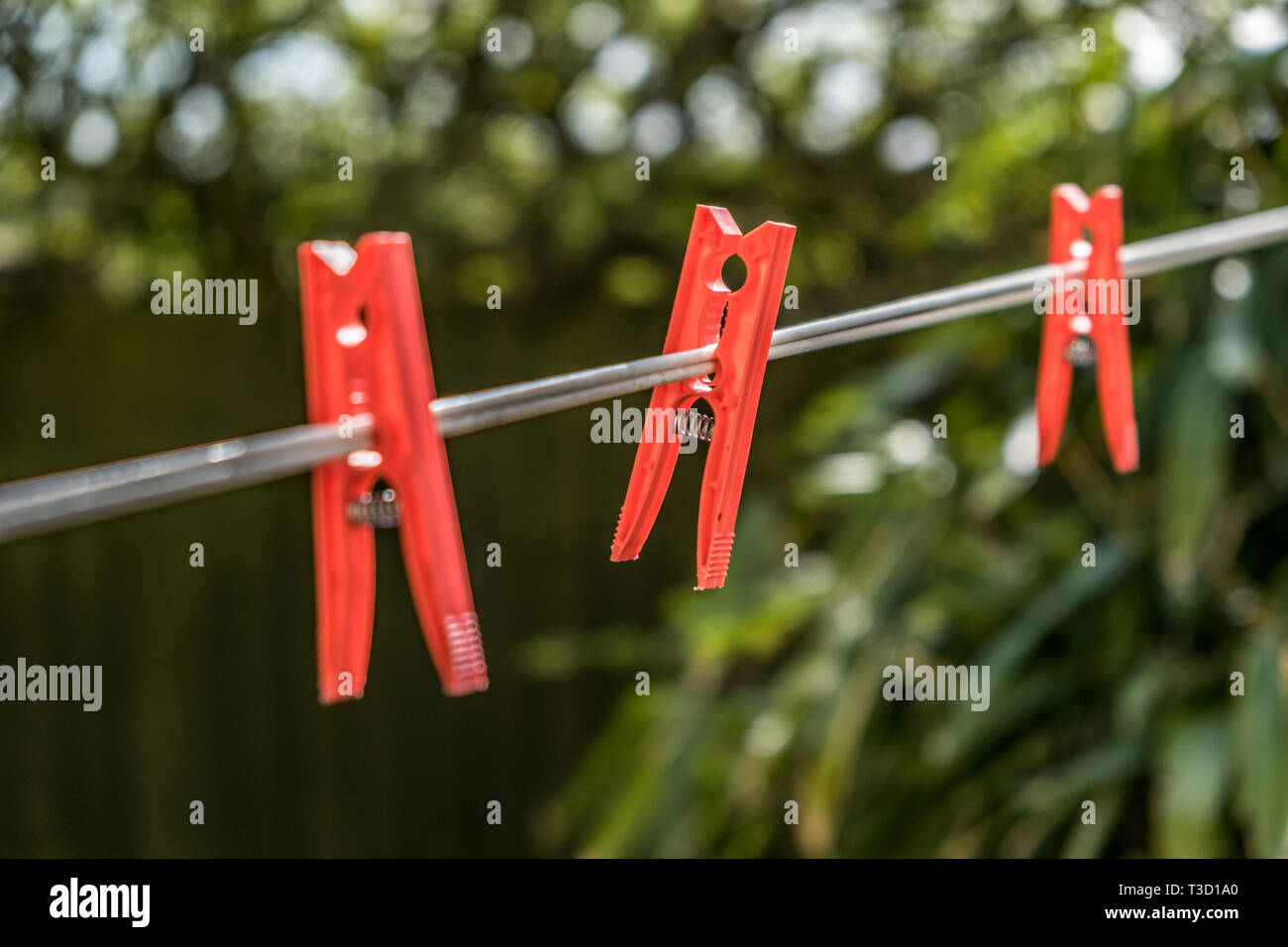 Three red plastic clothes pegs on a clothes line against the background of blurred green bush. Stock Photo