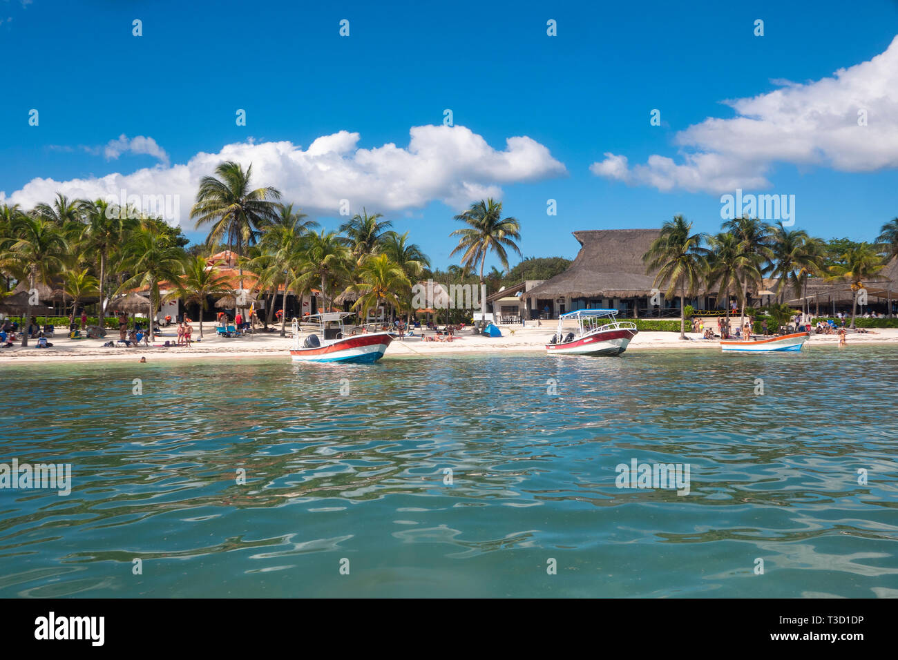 Akumal beach in Riviera Maya of Mayan Mexico Stock Photo - Alamy