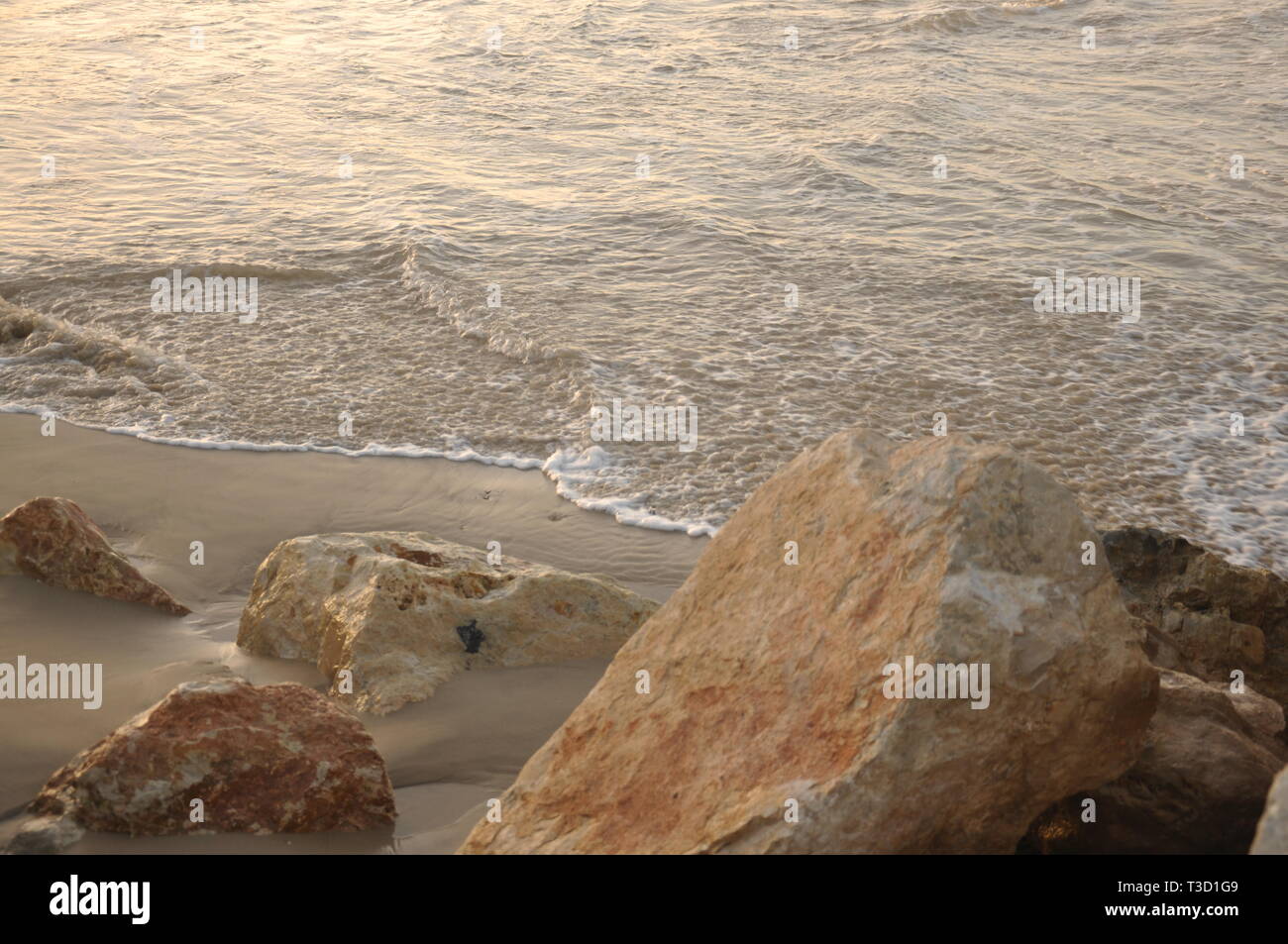 Marine shore party hi-res stock photography and images - Alamy