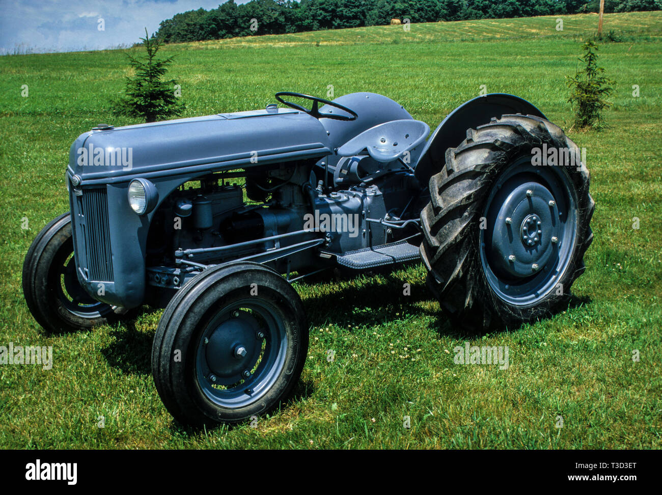 Vintage restored Ferguson, Ford, Tractor, Steuben County, New York, USA, US agriculture, vintage tractors, spring farm land Stock Photo