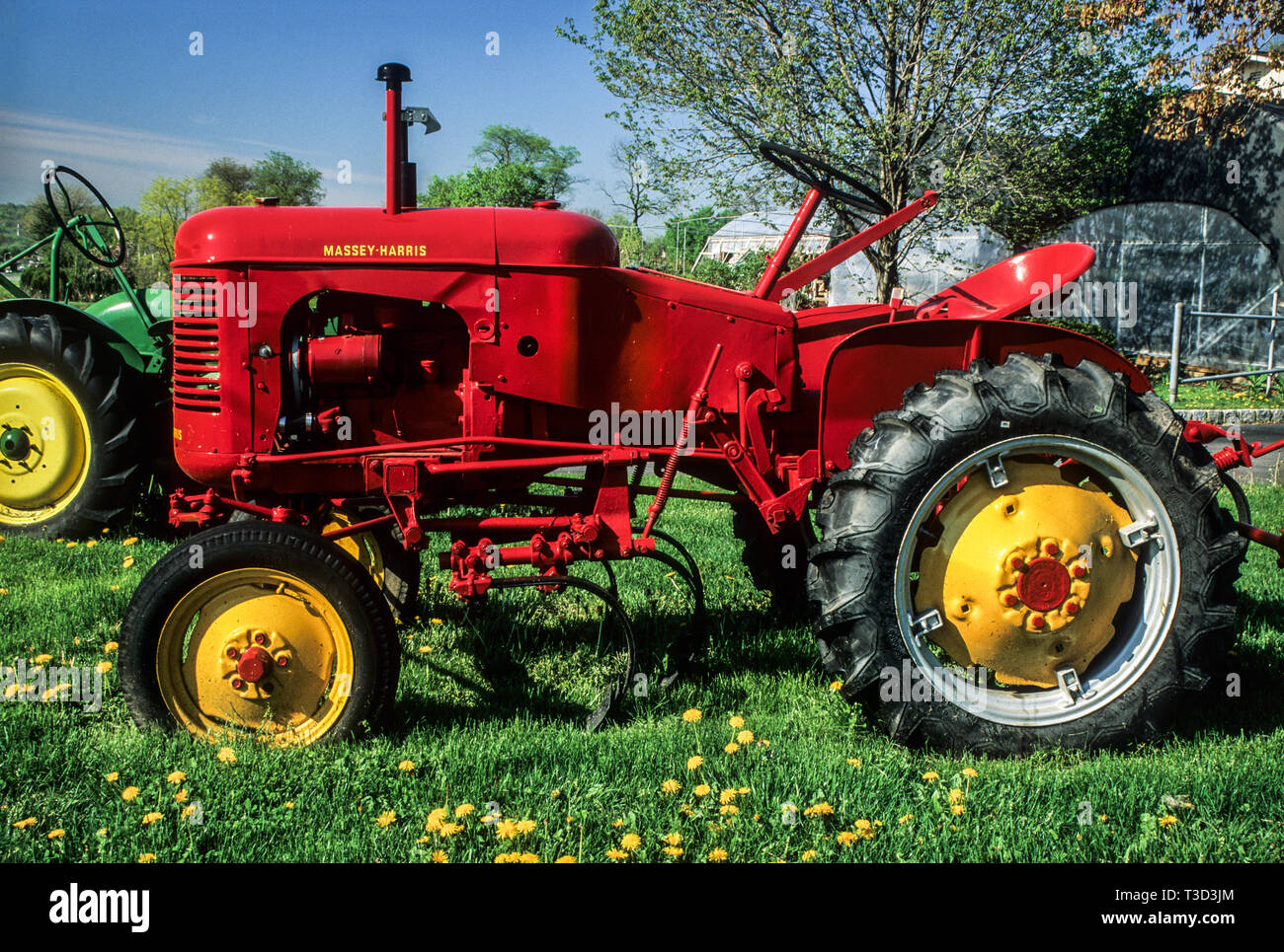 Vintage restored Massey Harris Pony tractor, Flemington, farm in New