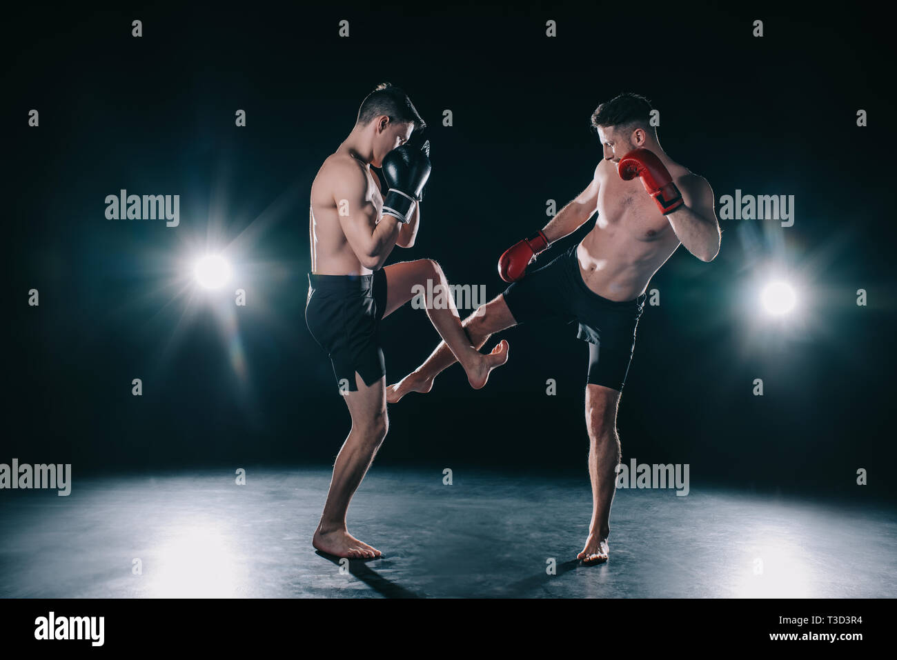strong mma fighter kicking another sportsman during training Stock Photo Alamy
