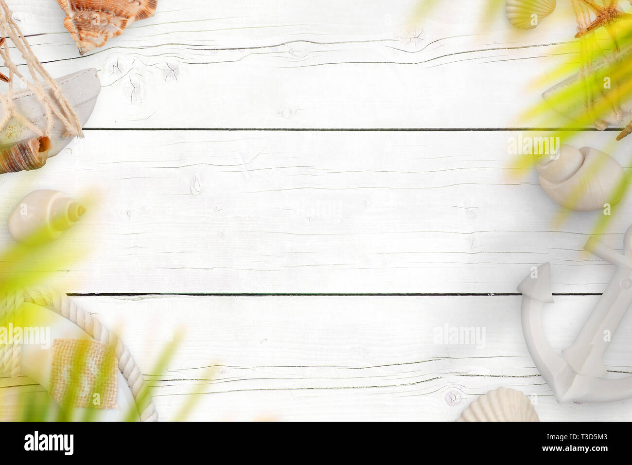 Summer travel background. White wooden desk with sea shells, boat anchor and life belt. Palm leaves above. Copy space in the middle. Stock Photo