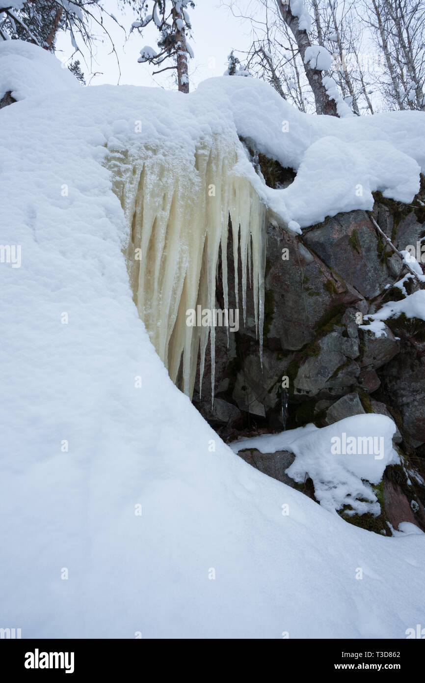 Icicles hanging over rock in the forest Stock Photo