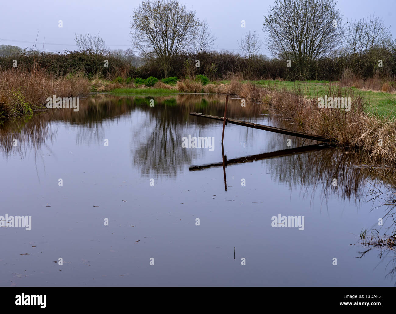 Disused watercress pond Stock Photo