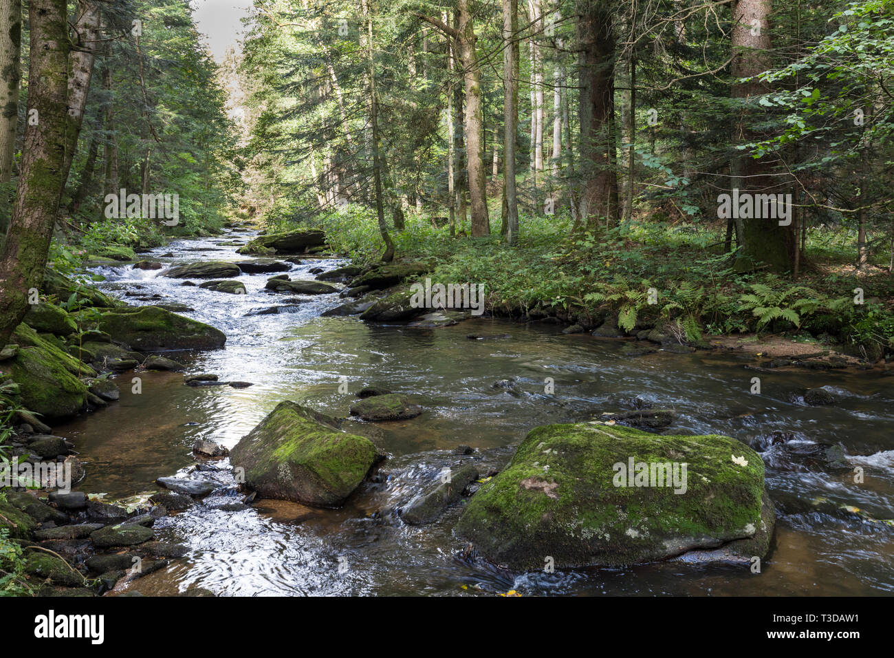 Baernloch-Wanderweg Stock Photo