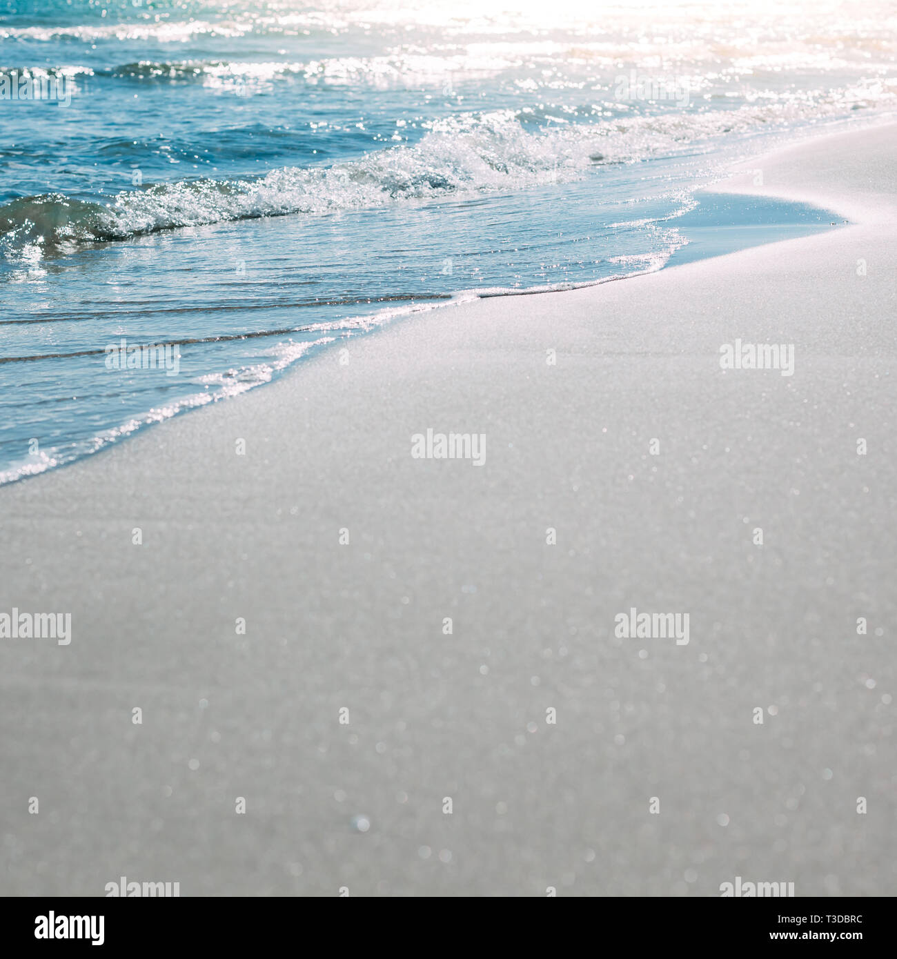 Summer Sand Beach And Seashore Waves Background Defocused