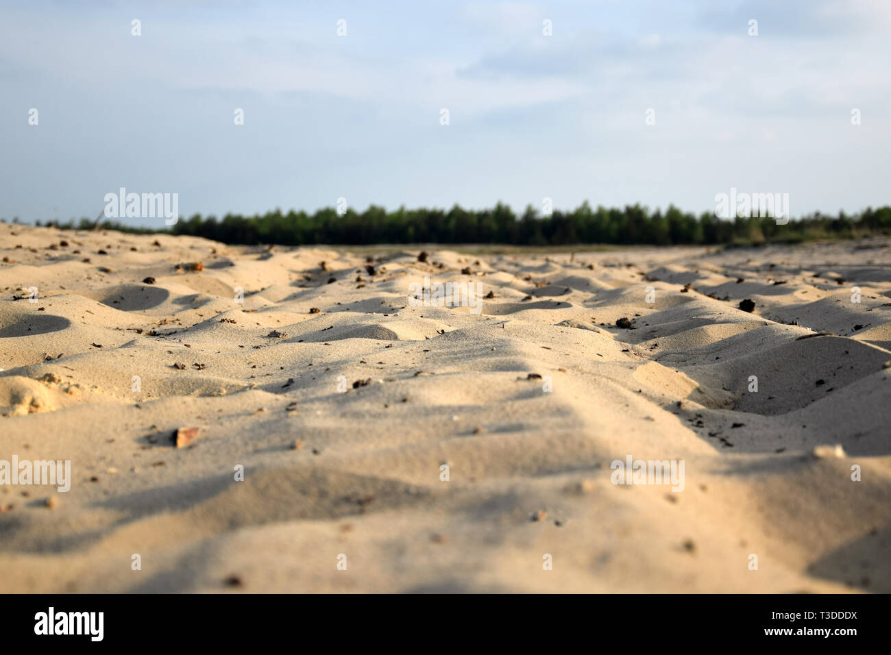 Deserto De Bledowska E a Maior área De Areia Movediça Na Polônia.  Localizada Na Fronteira Do Planalto Da Praça Da Praça Da Praça D Foto de  Stock - Imagem de colorido, floresta