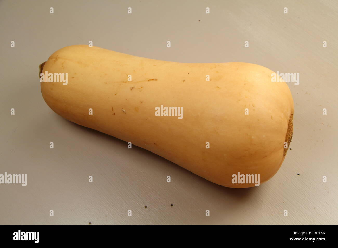 Beige butternut gourd on a table after the harvest Stock Photo