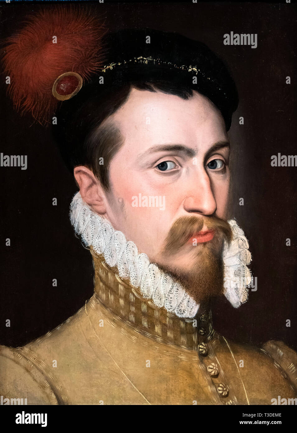 Robert Dudley (1532/3-1588), 1st Earl of Leicester and favourite of Queen Elizabeth I, oil on panel by unknown artist, c.1565-70 Stock Photo