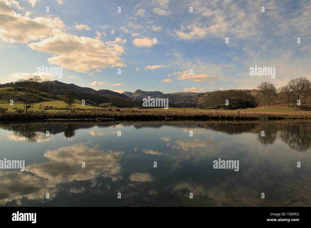 UK Elterwater, English Lake District Cumbria. View across the River Brathay towards the distant Langdale Pikes. Cumbria Way. Cumbrian Way. Skelwith UK Stock Photo