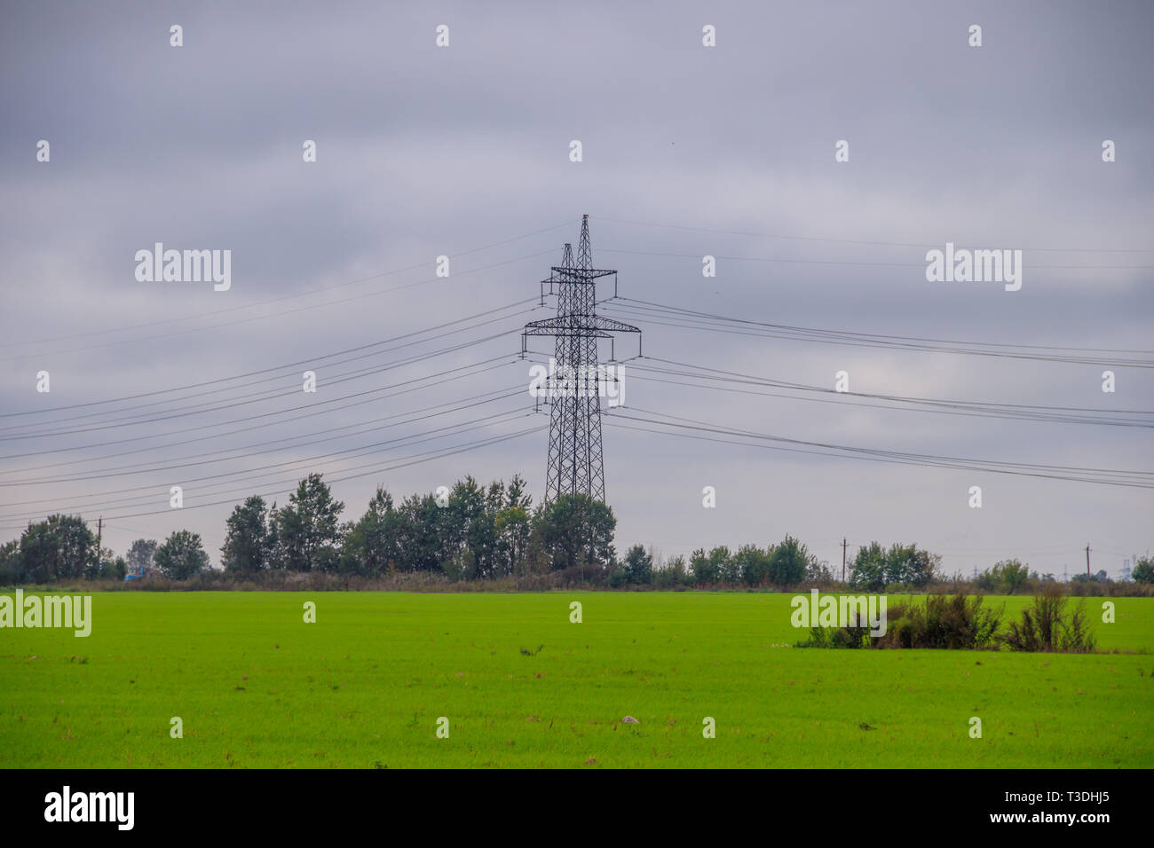 Electricity poles in the field. Electricity travels by wire. Russian
