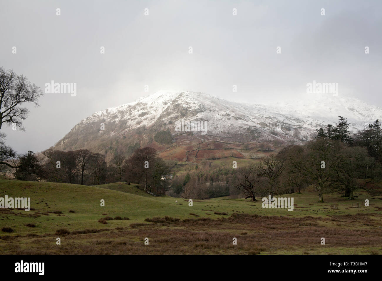 Winter snow covered slopes of Heron Pike Rydal Fell and Great Rigg from the path from Rydal Hall and Ambleside Lake District Cumbria England Stock Photo