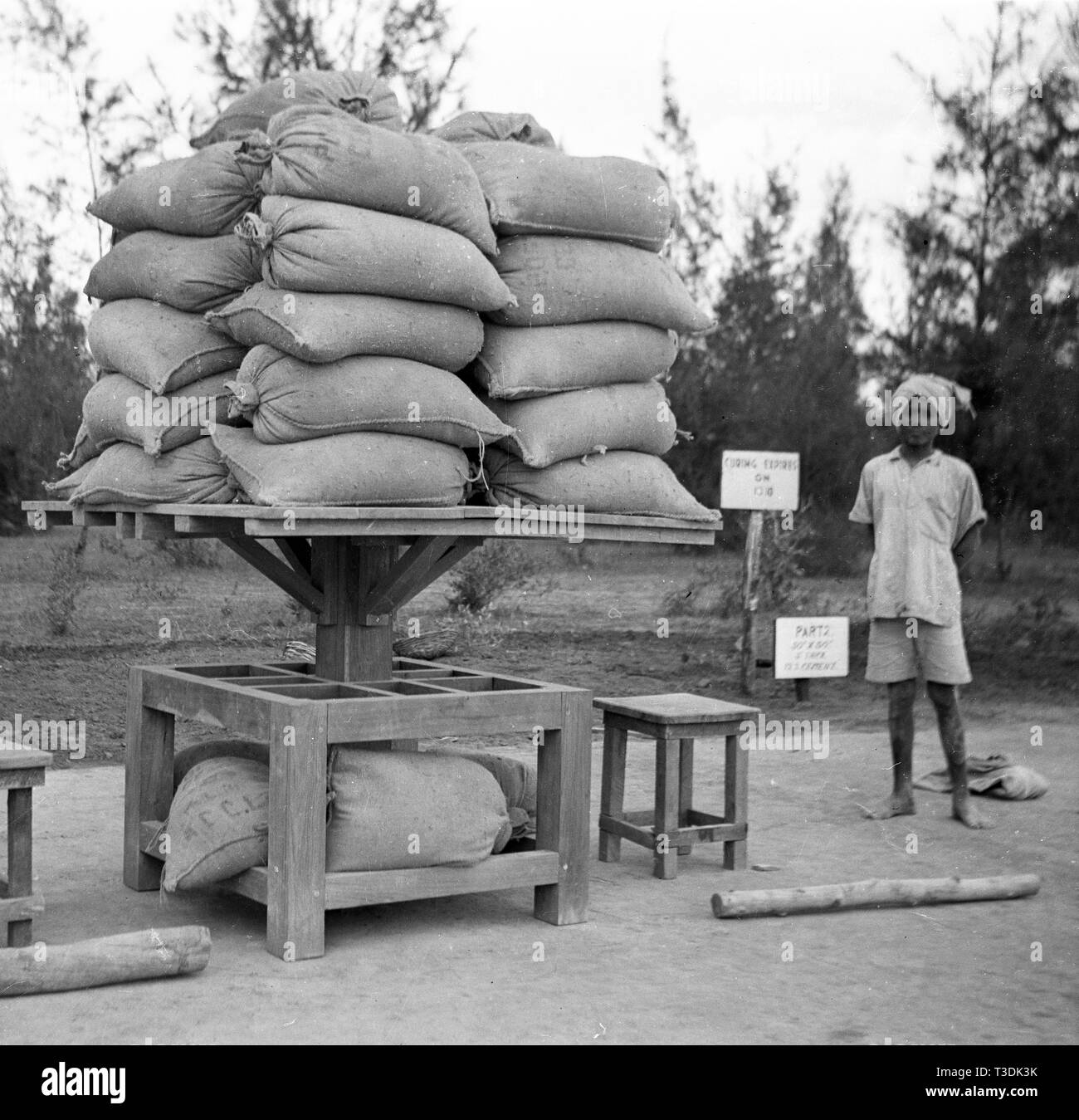 Plantation workers in British India 1945 Stock Photo