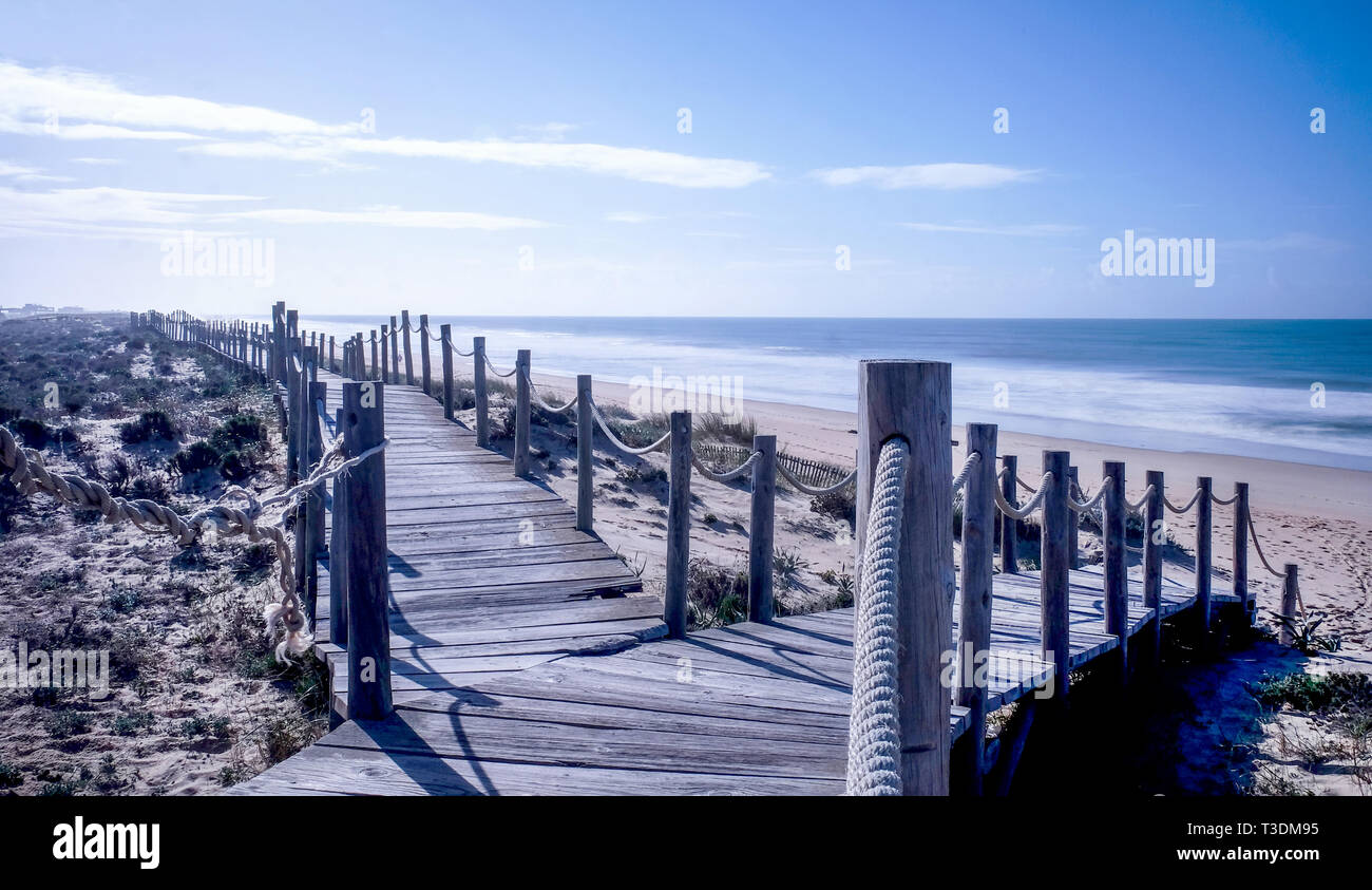 Looking down two wooden decking pathways forming a fork in the road, both heading down to a sweeping sandy beach with the blue sea and blue sky in fro Stock Photo