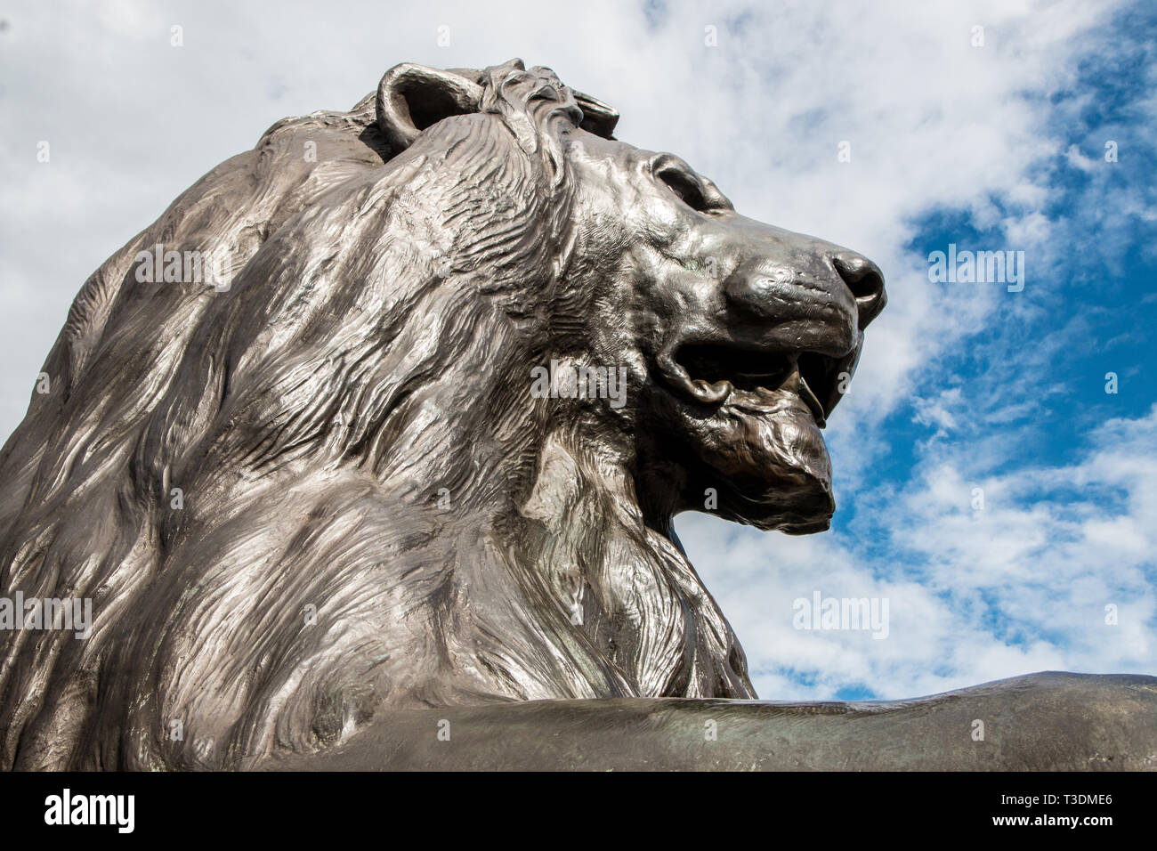 Landseers lion statue in Trafalgar Square London Stock Photo