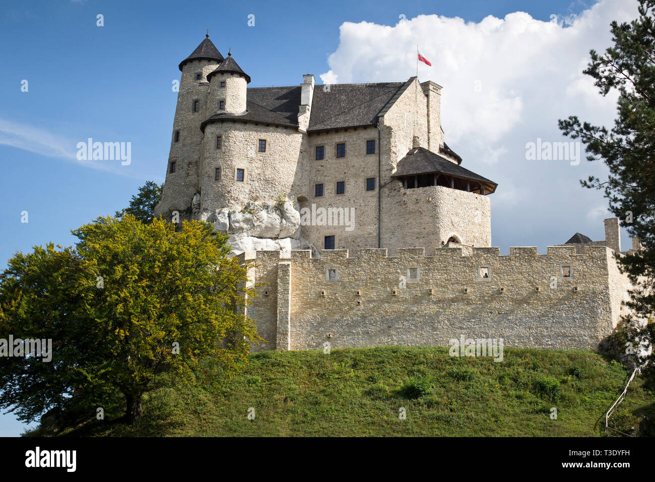 A contemporary reconstruction of the medieval castle in Bobolice. Poland. Stock Photo