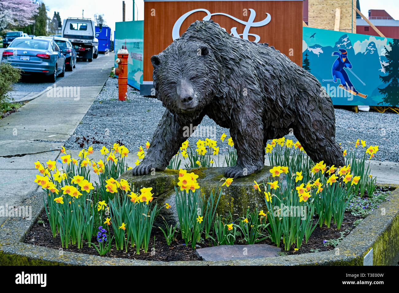 Grizzly bear sculpture by artist Ken Clarke, Lonsdale Ave, North Vancouver, British Columbia