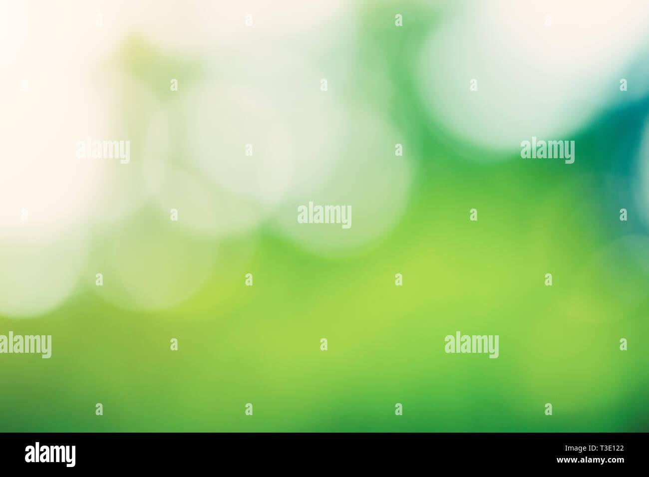 Blur bokeh macro background. Green park landscape Stock Photo - Alamy