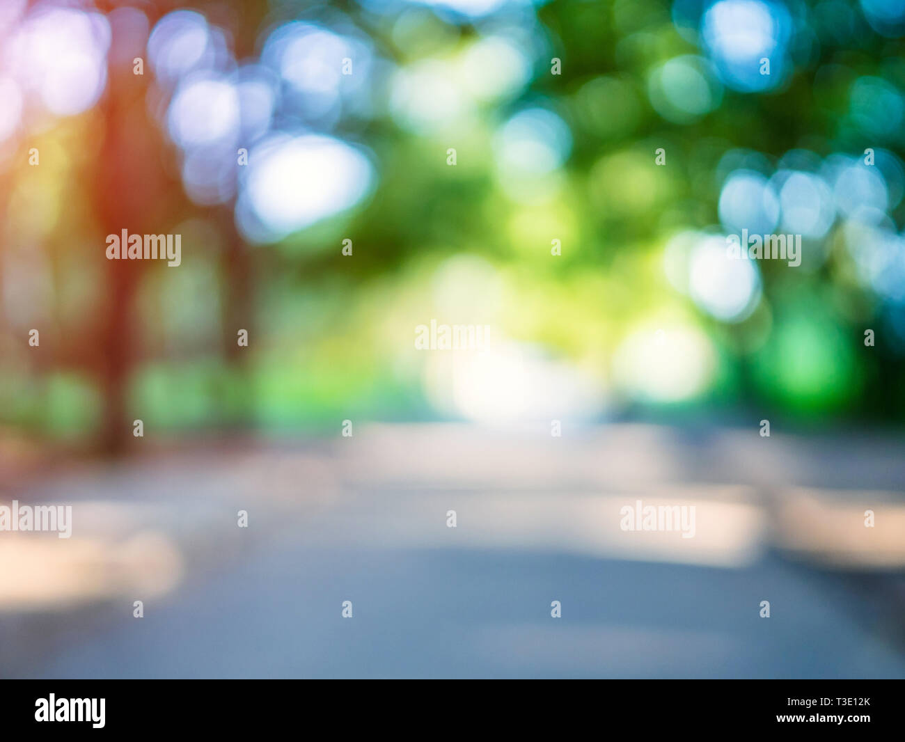 Macro background green park. Blur bokeh nature Stock Photo - Alamy