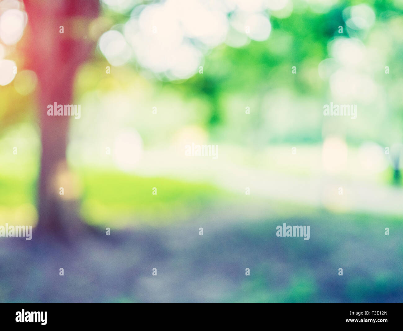 Macro background green park. Blur bokeh nature Stock Photo - Alamy