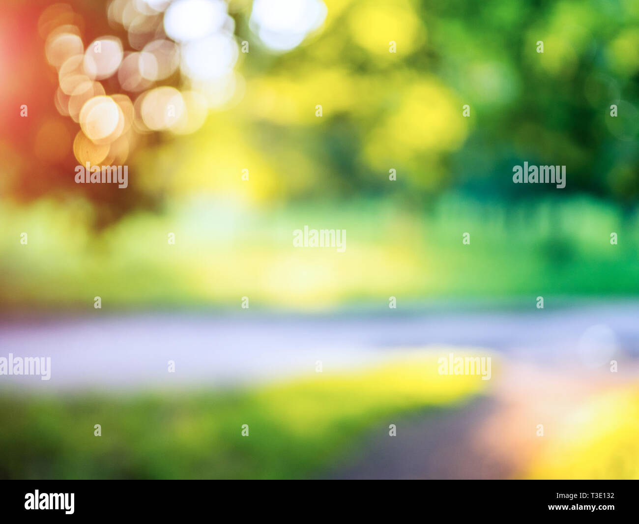 Macro background green park. Blur bokeh nature Stock Photo - Alamy