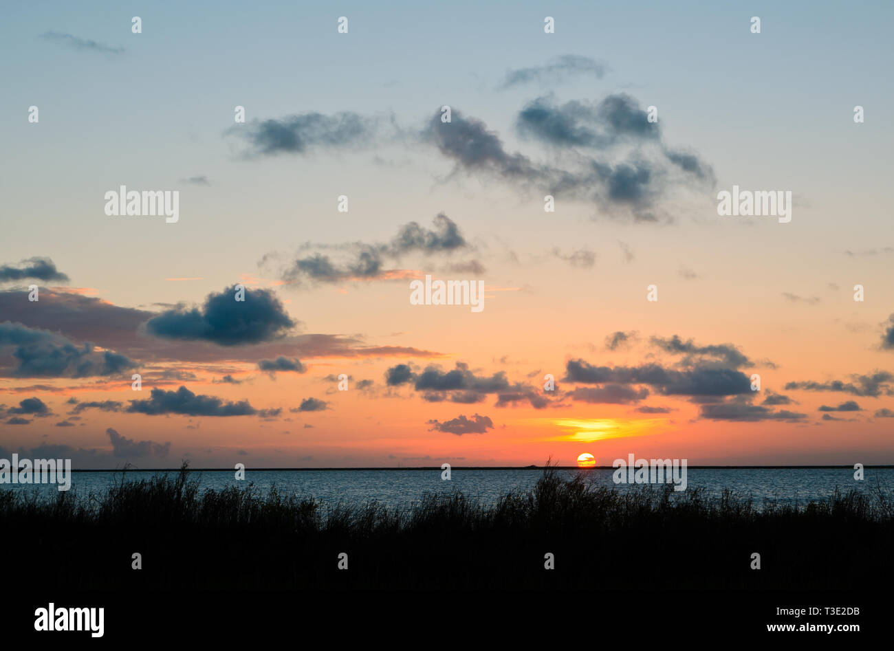Coden beach hires stock photography and images Alamy
