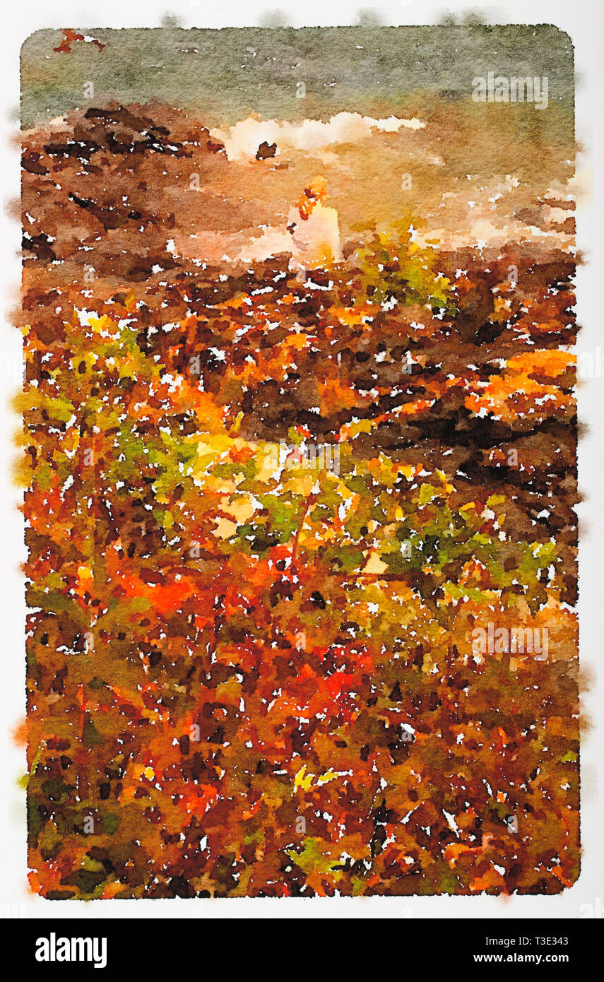 Watercolor of fall colors along the North Shore of Lake Superior, Minnesota - Watercolor by Todd Strand Stock Photo