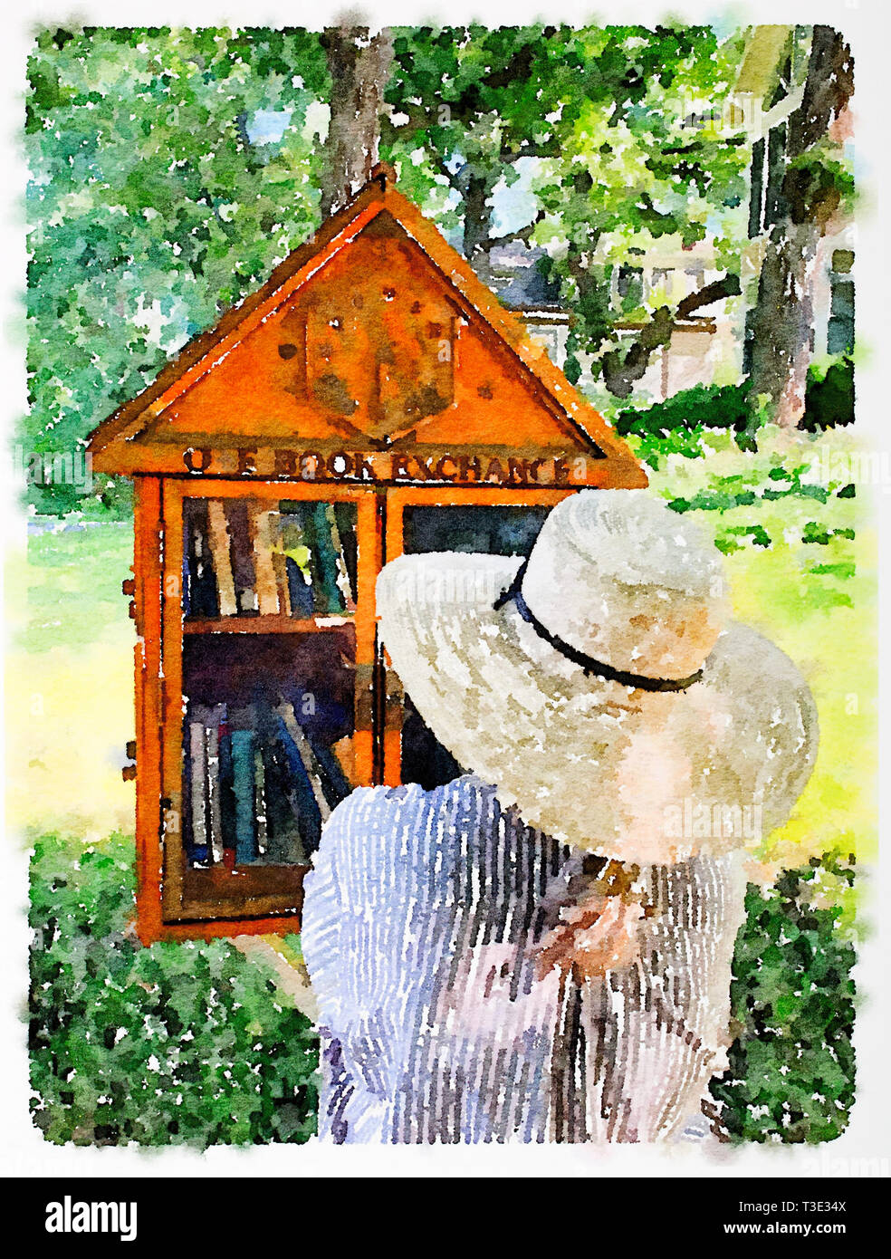 A watercolor of a person wearing a sun hat stopping to browse the titles of books in a Little Free Library Book Exchange - Watercolor by Todd Strand Stock Photo