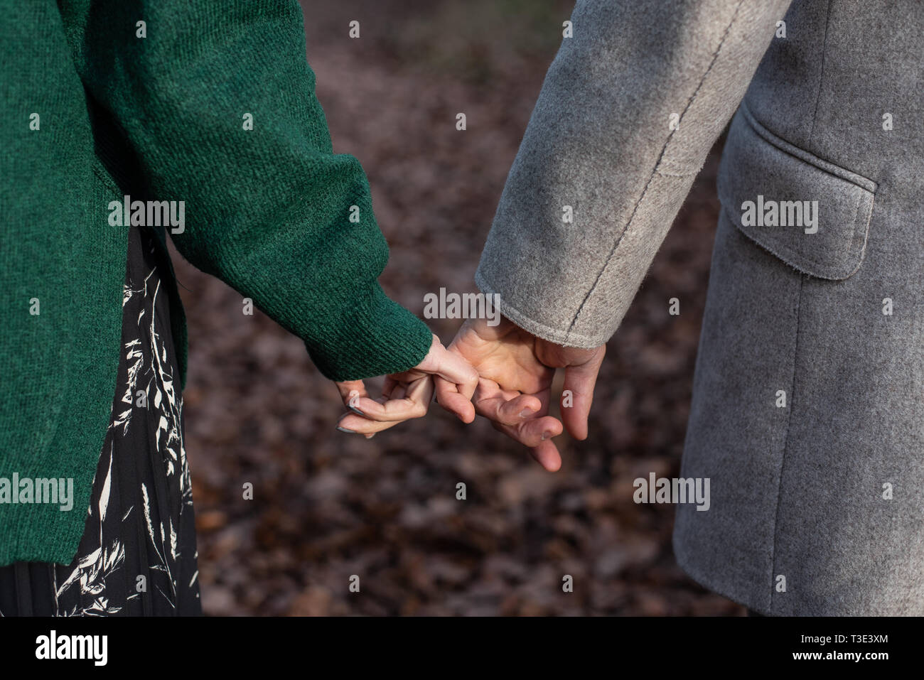 Outdoor portrait of a couple holding hands Stock Photo