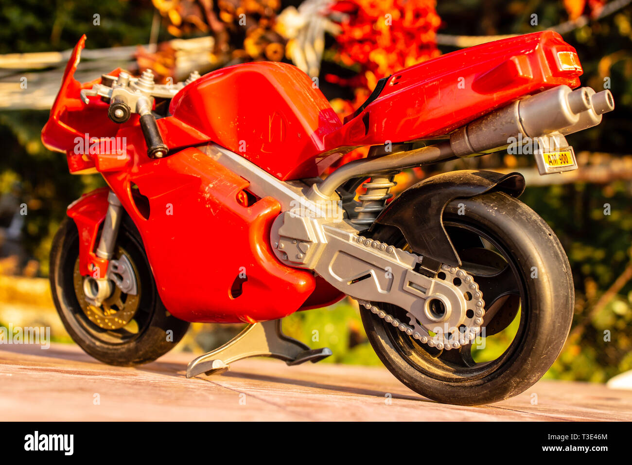 a back view isolated closeup red toy motorcycle with cold colors. photo has taken from a garden. Stock Photo