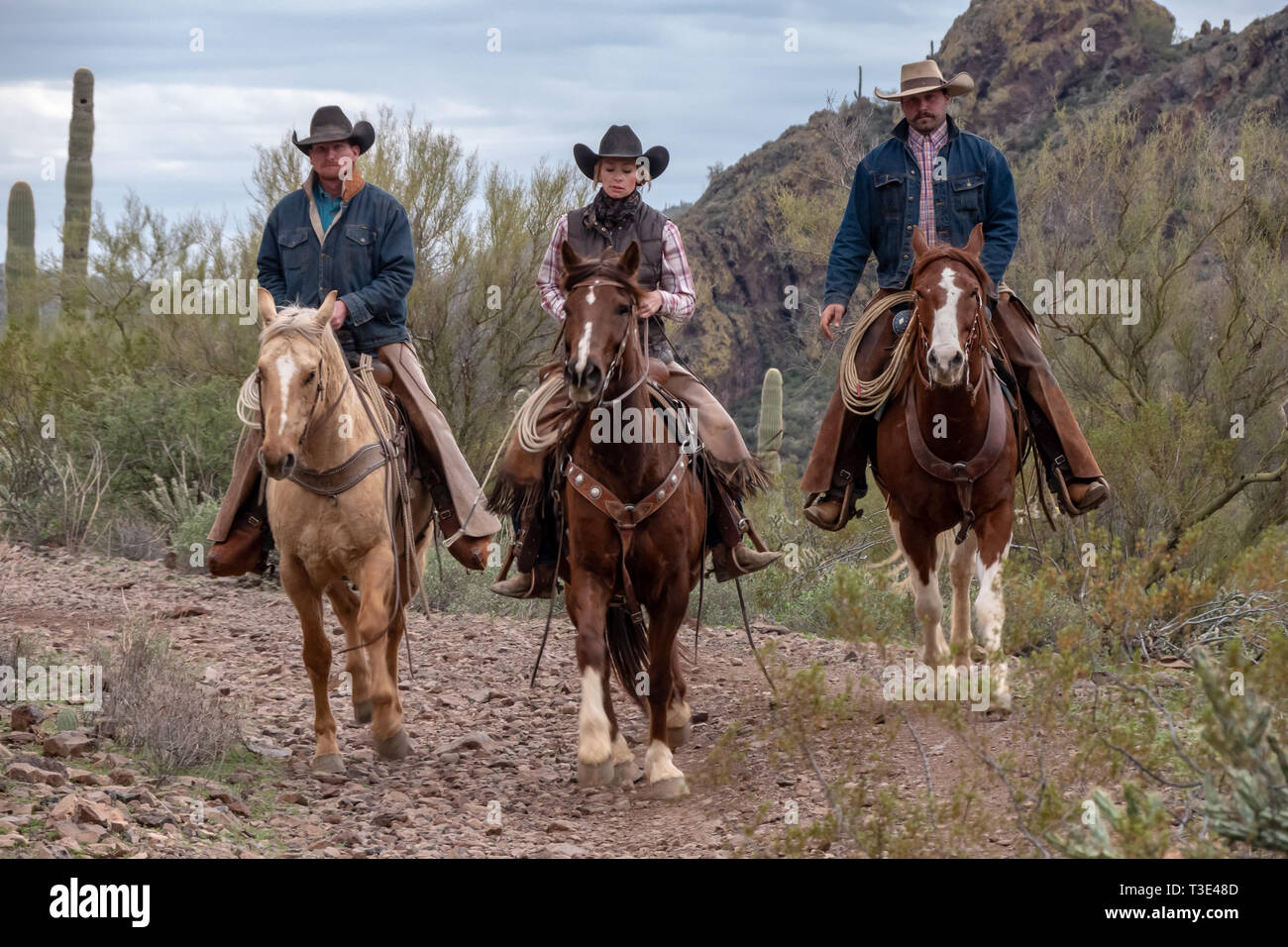 Cowboy riders in the desert scene around Wickenburg, Arizona Stock