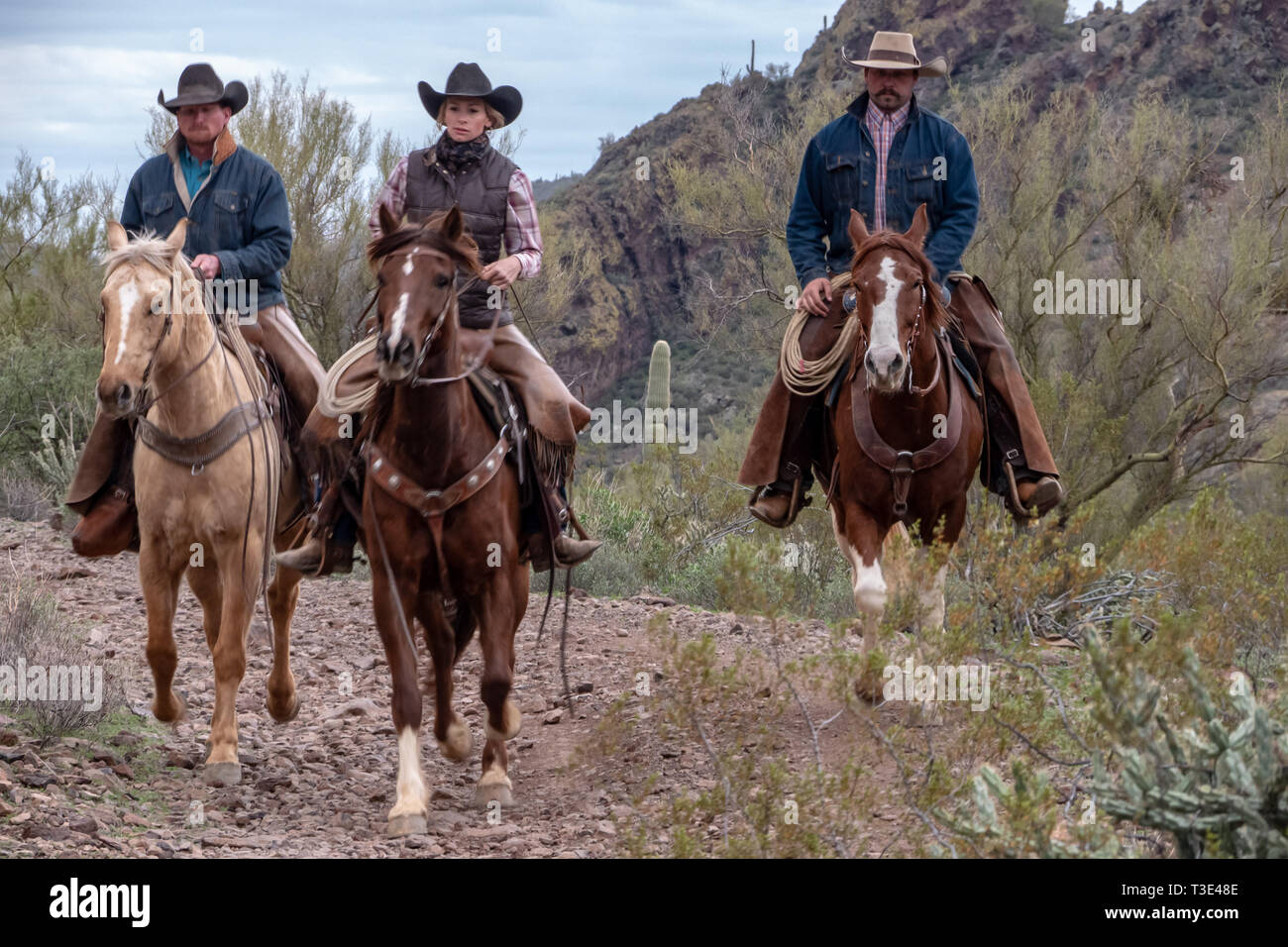 Cowboy hats arizona hires stock photography and images Alamy
