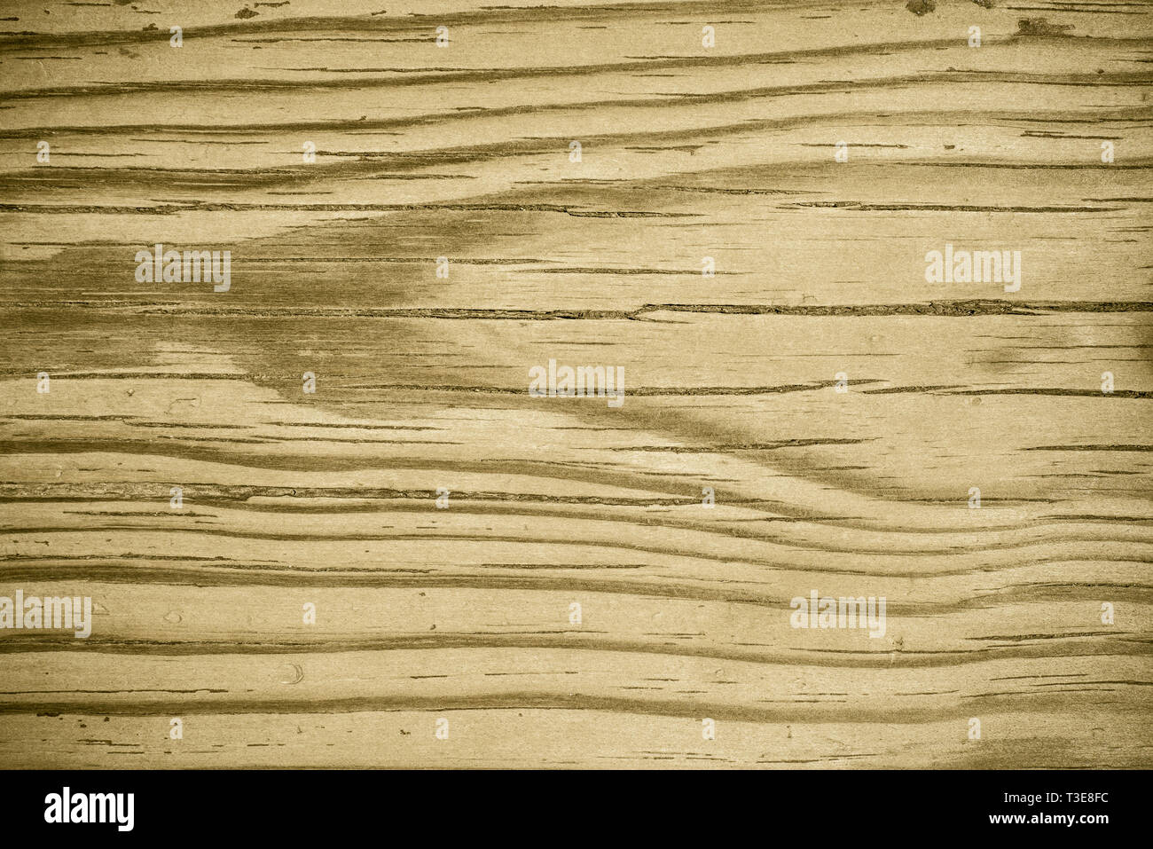 Old wood texture background, perfect natural pattern. Stock Photo