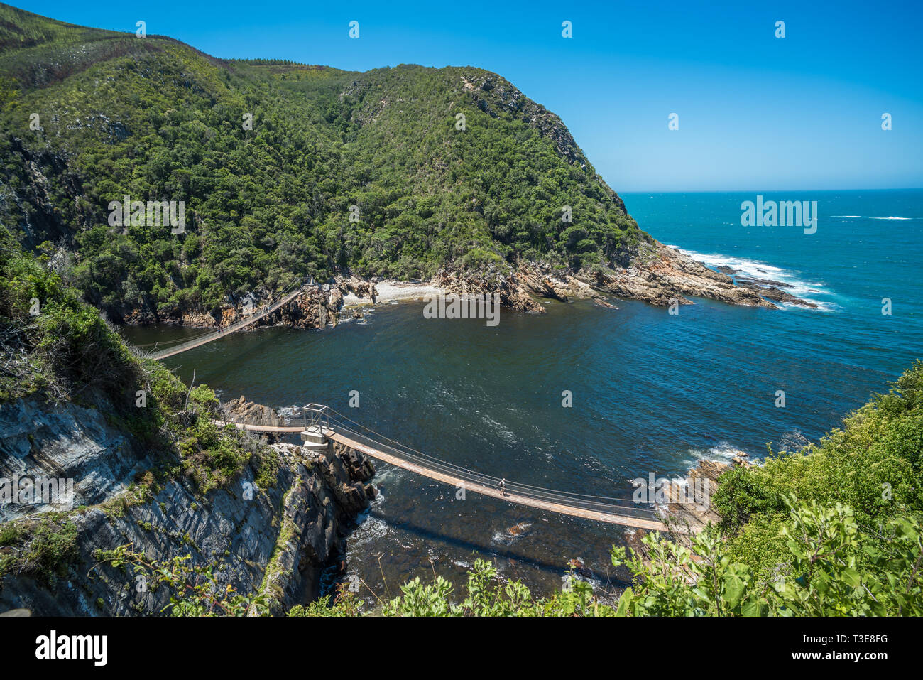 Storms River Suspension Bridge, Eastern Cape, Tsitsikamma National Park, South Africa Stock Storms River Suspension Bridge, Eastern Cape, Tsitsikamma National Park, South Africa Stock