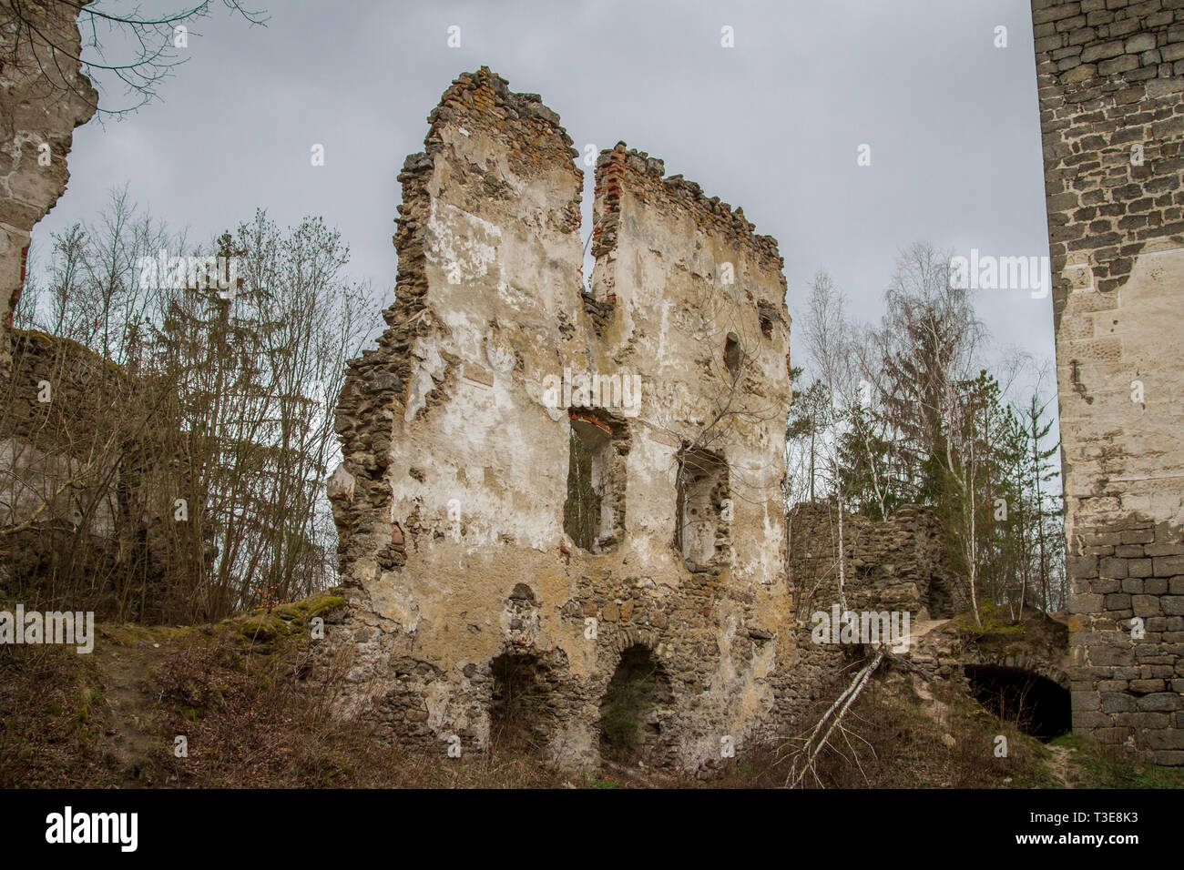 Burgruine (castle ruin) Lichtenfels, Ottensteiner Stausee, Zwettl, Austria Stock Photo