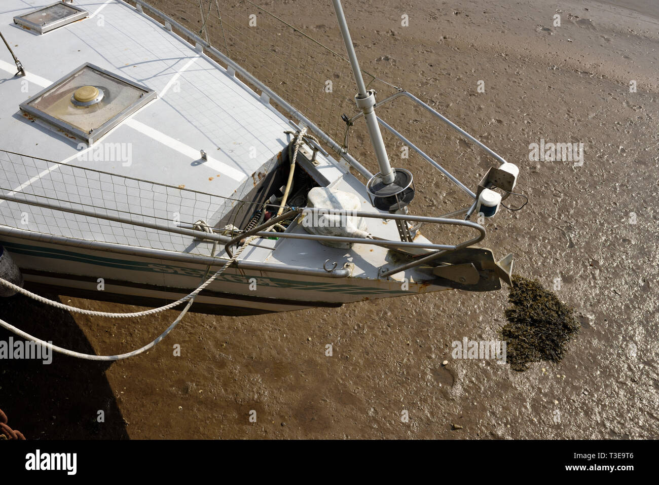 Bow of fibreglass sailing boat with stainless steel guardrail
